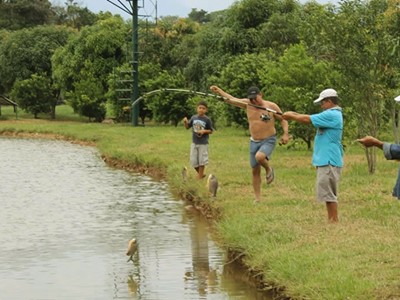 Pasadía con almuerzo y piscina - Hotel Campestre Casa Verde - Castilla la Nueva, Meta - image - 5