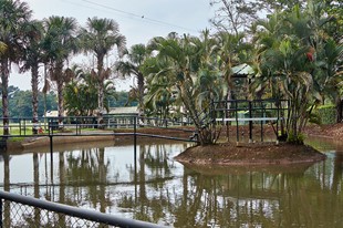 Hotel Campestre Casa Verde - Castilla la Nueva, Meta - image - 5