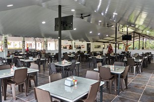 Hotel Campestre Casa Verde - Castilla la Nueva, Meta - image - 12